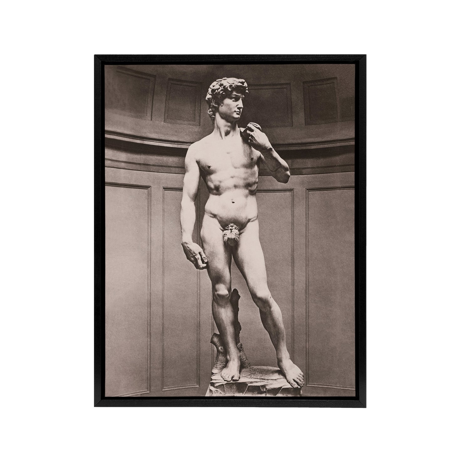 Statue of David Photograph Michelangelo Vintage Framed Canvas Wall Art