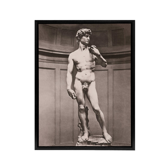 Statue of David Photograph Michelangelo Vintage Framed Canvas Wall Art