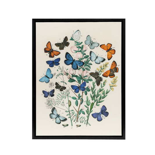 Blue and Orange Butterflies Kirby Vintage Black Framed Canvas Wall Art