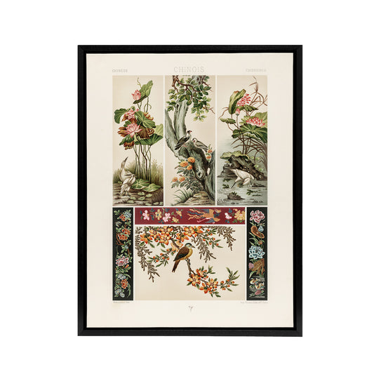 Chinese Patterns of Birds and Flowers Racinet Framed Canvas Wall Art
