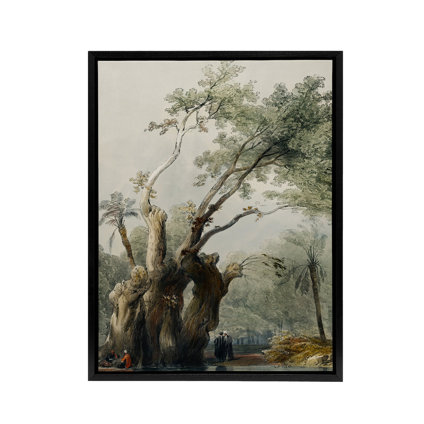 The Holy Tree of Metereah D. Roberts Vintage Black Framed Canvas Wall Art