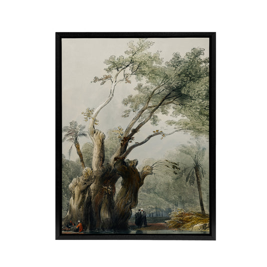The Holy Tree of Metereah D. Roberts Vintage Black Framed Canvas Wall Art