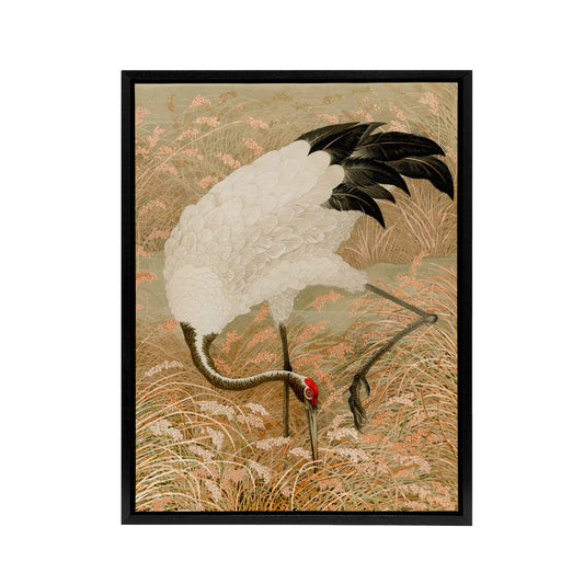 Sarus Crane Foraging in Rice Field Audsley Black Framed Canvas Wall Art