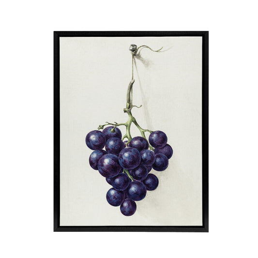 Bunch of Blue Grapes Oil Jean Bernard Vintage Framed Canvas Wall Art