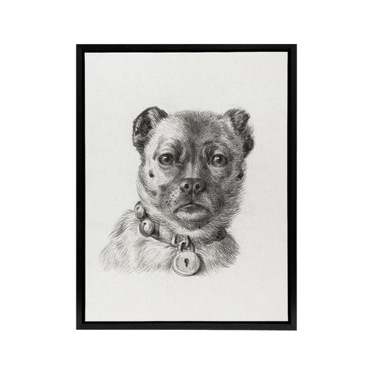 Dog head with a Collar Pencil Drawing Bernard Framed Canvas Wall Art