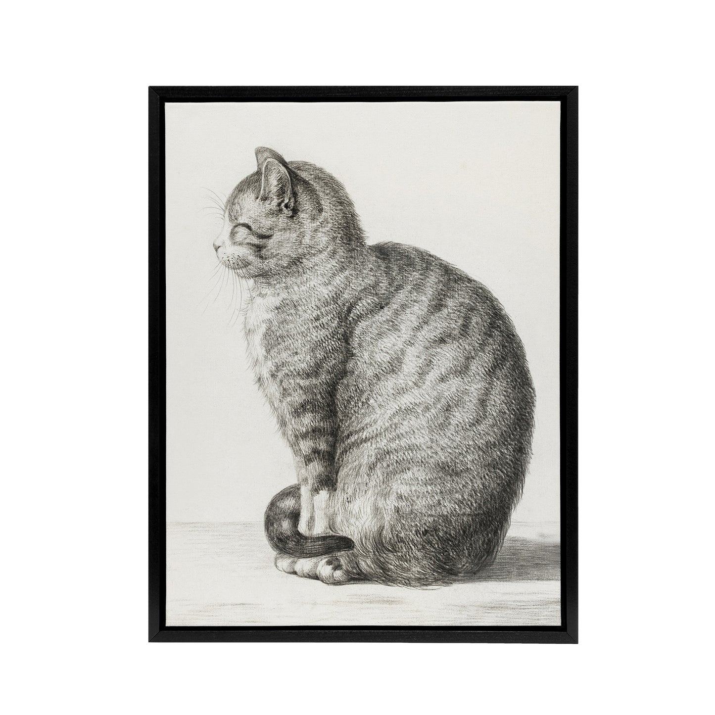 Sitting Smiling Cat Pencil Drawing Bernard Black Framed Canvas Wall Art