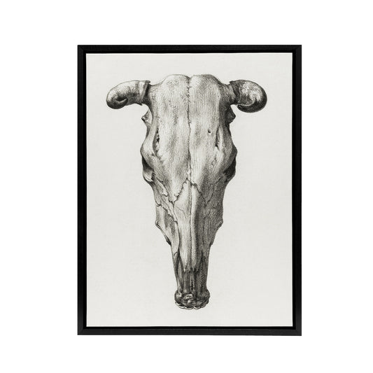 Skull of a Cow Pencil Drawing Bernard Vintage Framed Canvas Wall Art