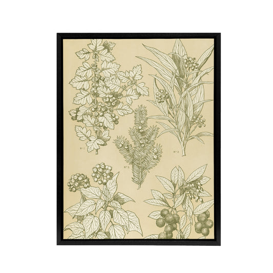Leaves From Nature No 7 Botanical Jones Vintage Framed Canvas Wall Art