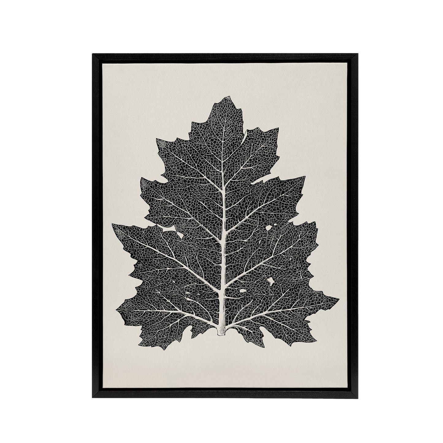 Black and White Leaf Drawing Owen Jones Vintage Framed Canvas Wall Art