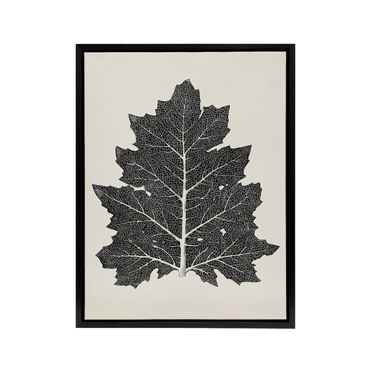Black and White Leaf Drawing Owen Jones Vintage Framed Canvas Wall Art