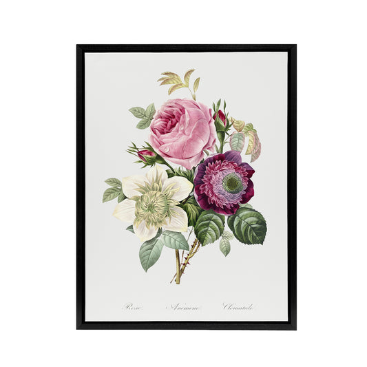 Anemone and Cabbage Rose Flower Redoute Vintage Framed Canvas Wall Art
