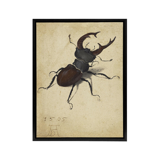 Stag Beetle Nature Study Albrecht Durer Framed Canvas Wall Art Print