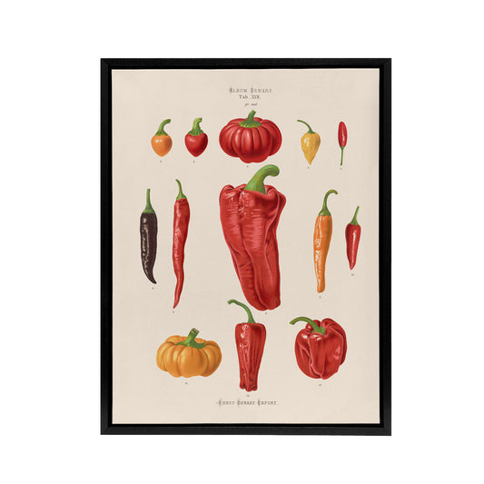 Capsicums and Chili Peppers Ernst Benary Framed Canvas Wall Art Print