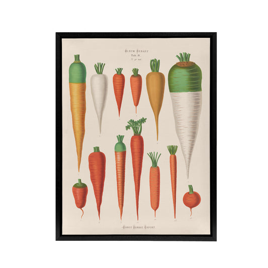 Carrots Vegetables Kitchen Ernst Benary Framed Canvas Wall Art Print