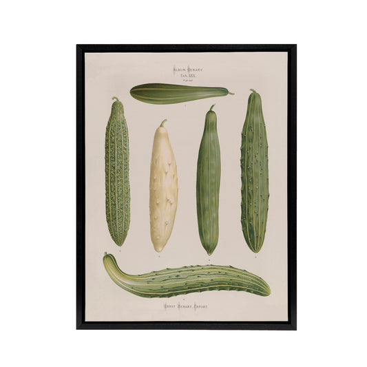 Frame Cucumbers Kitchen Decor Ernst Benary Framed Canvas Wall Art Print