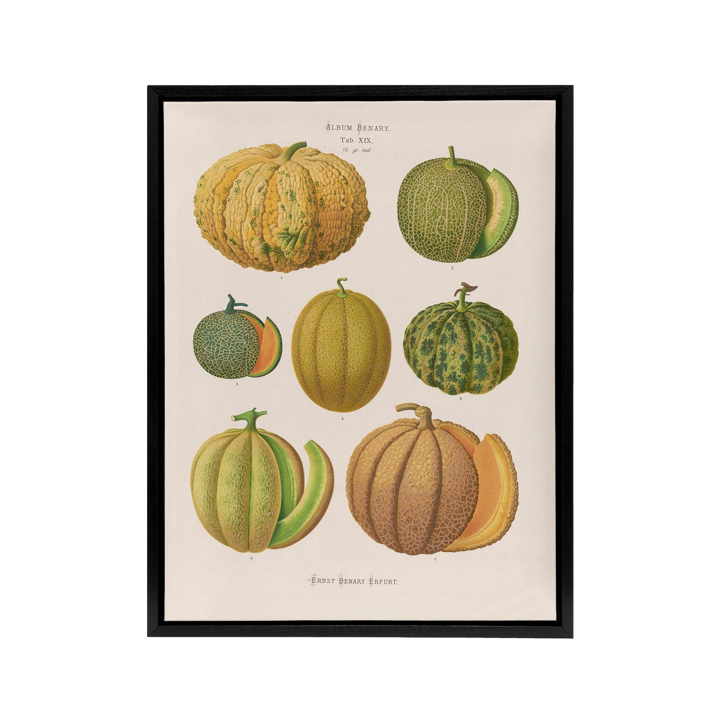 Melons Fruit Vintage Kitchen Ernst Benary Framed Canvas Wall Art Print