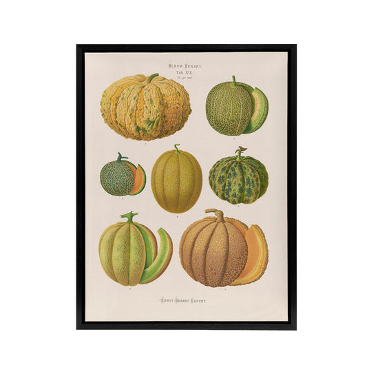 Melons Fruit Vintage Kitchen Ernst Benary Framed Canvas Wall Art Print