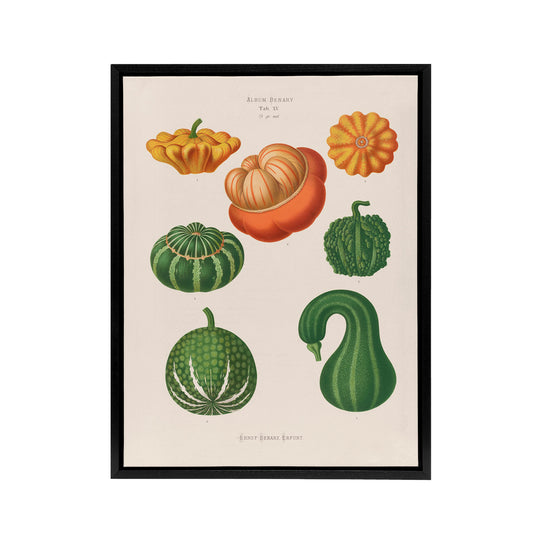 Ornamental Gourds Kitchen Decor Ernst Benary Framed Canvas Wall Art Print