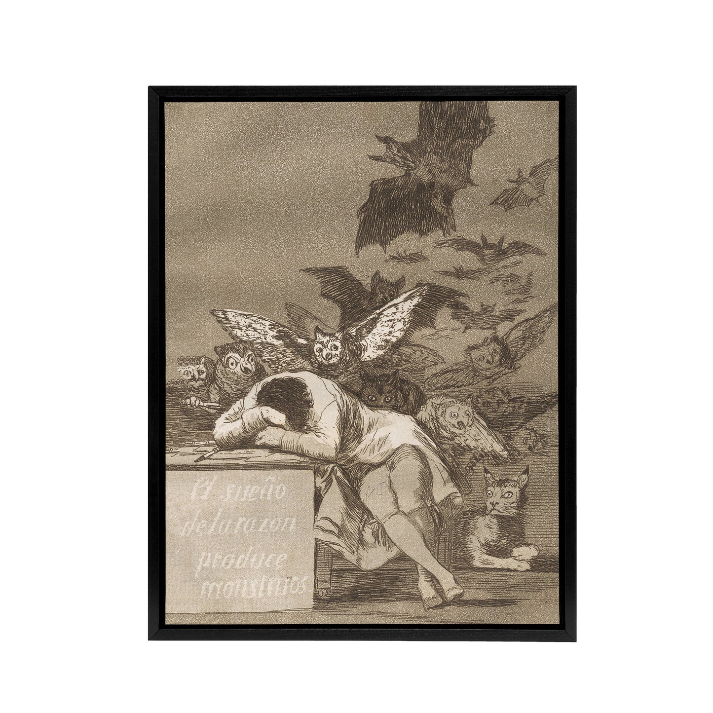 The Sleep of Reason Produces Monsters Goya Framed Canvas Wall Art Print