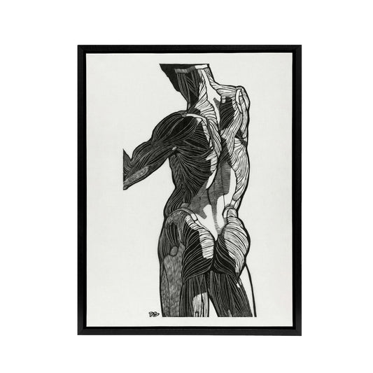 Anatomical study of gluteal muscles Stolk Framed Canvas Wall Art Print