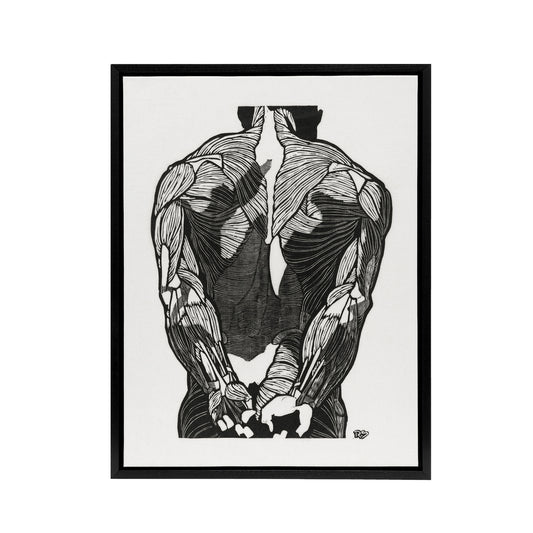 Anatomical study of mans back muscles Stolk Framed Canvas Wall Art Print