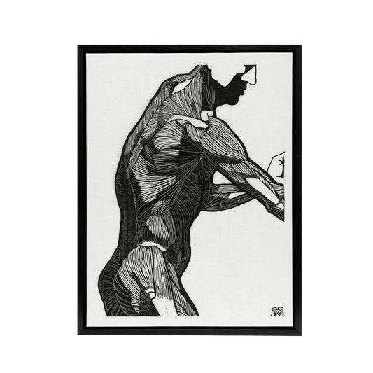 Anatomical study of mans lateral muscles Stolk Framed Canvas Wall Art Print