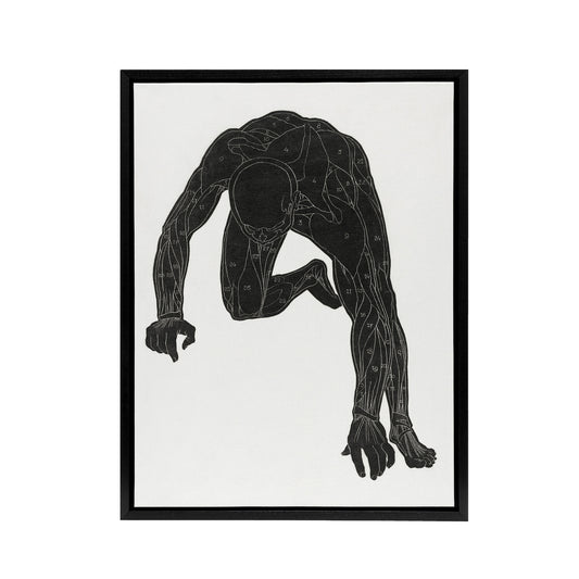 Man muscles Anatomical silhouette study Stolk Framed Canvas Wall Art Print