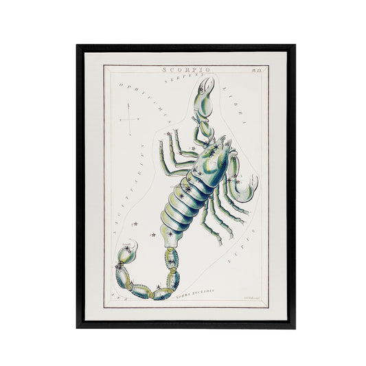 Astronomical Chart illustration of Scorpio Hall Framed Canvas Wall Art Print