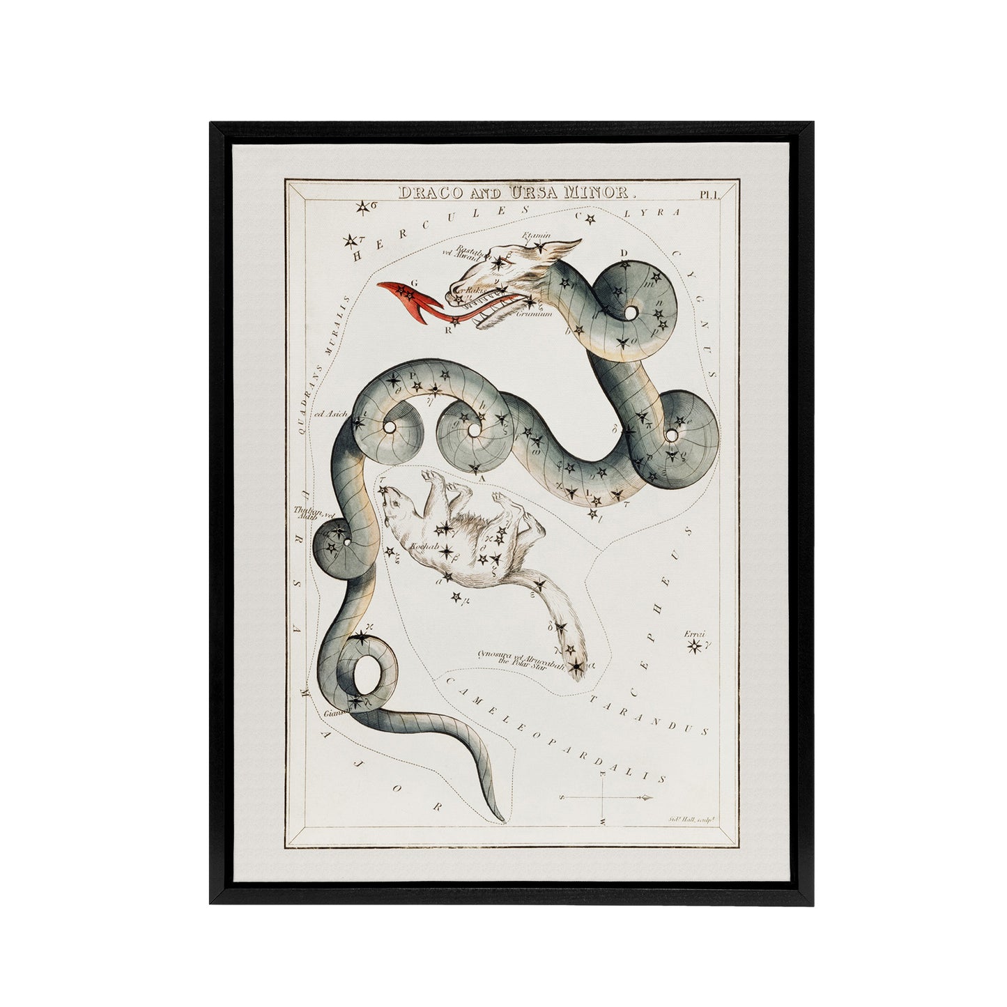 Draco and Ursa Minor Constellation Hall Framed Canvas Wall Art Print