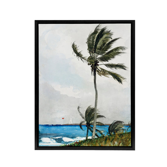 Palm Tree in Nassau Landscape Winslow Homer Framed Canvas Wall Art Print