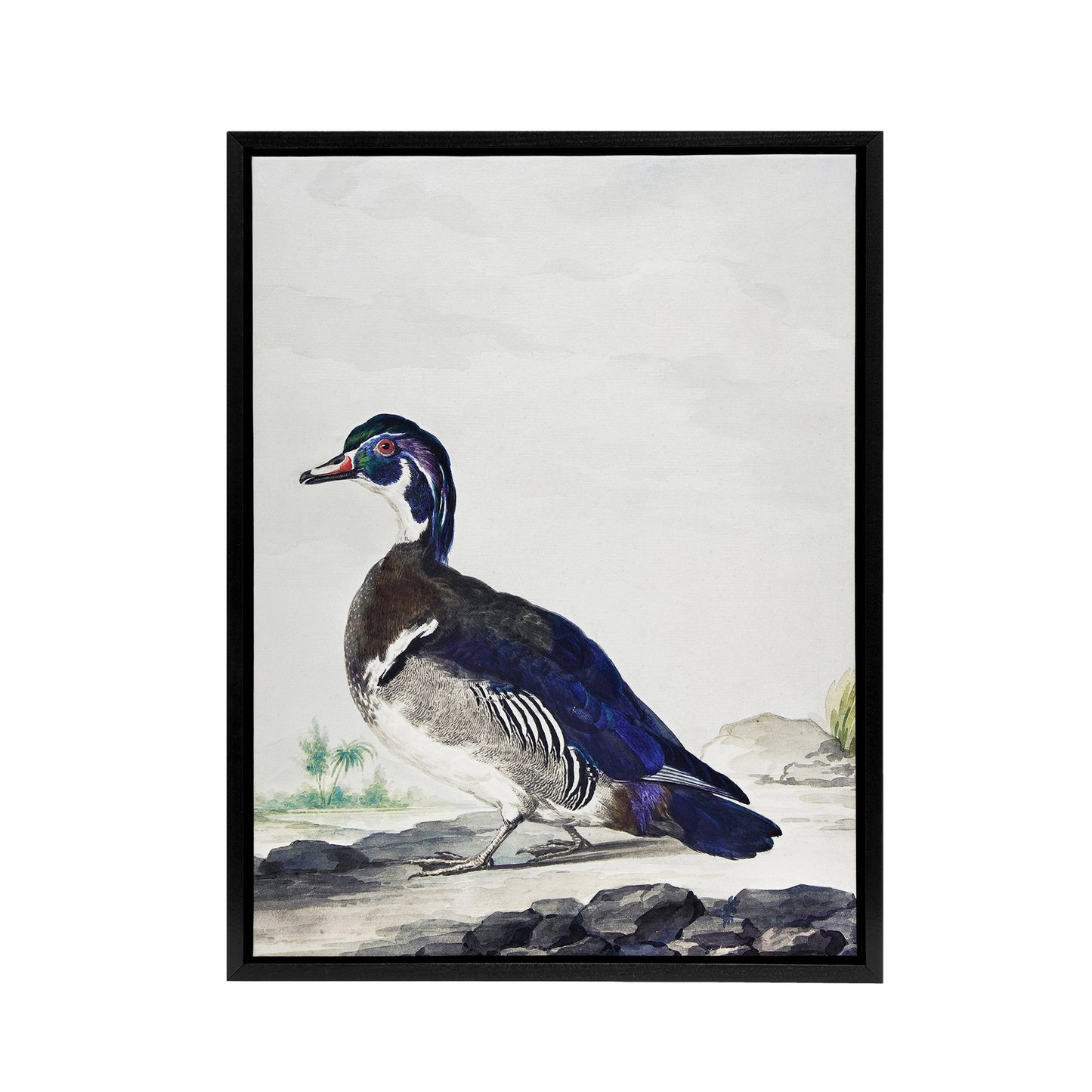 Wood Duck Vintage Bird Oil Painting Schouman Framed Canvas Wall Art Print