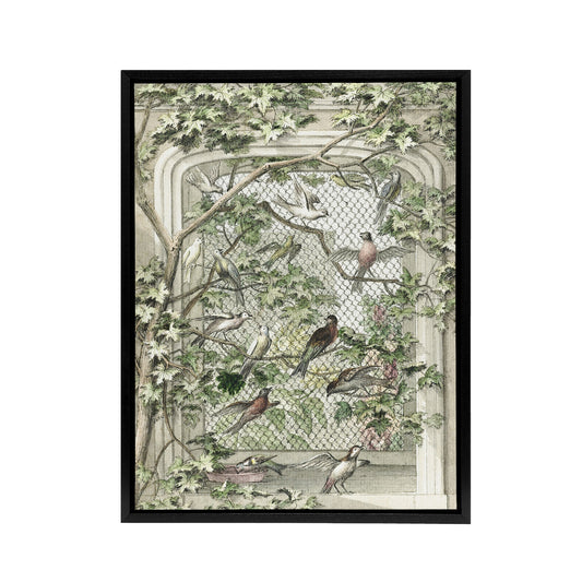 Aviary with Fourteen Birds Schouman Framed Canvas Wall Art Print