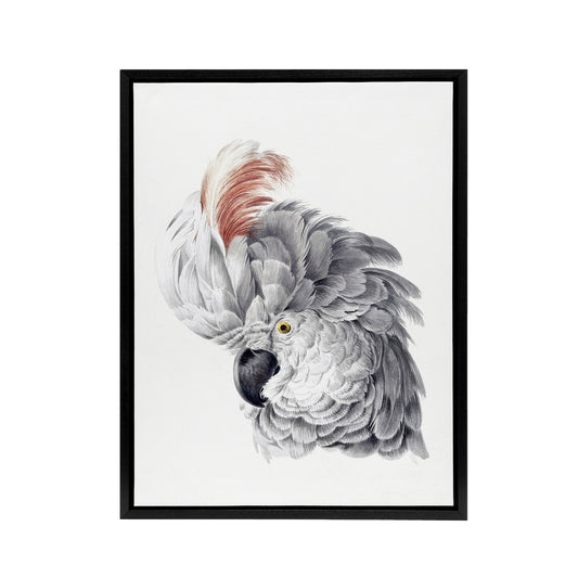 Cockatoo Parrot Head Watercolour Schouman Framed Canvas Wall Art Print