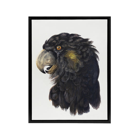 Cockatoo Parrot Head Schouman Watercolour Framed Canvas Wall Art Print