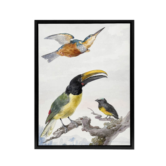 Kingfisher Toucan Bird and a Sparrow Schouman Framed Canvas Wall Art Print