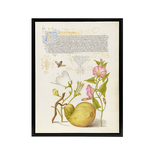 Beetle Flowers and Gourd Calligraphy Framed Canvas Wall Art Print