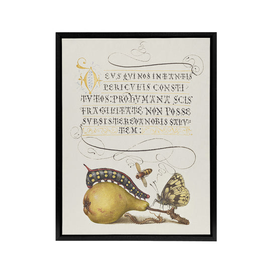 Caterpillar Pear and Butterfly Calligraphy Framed Canvas Wall Art Print