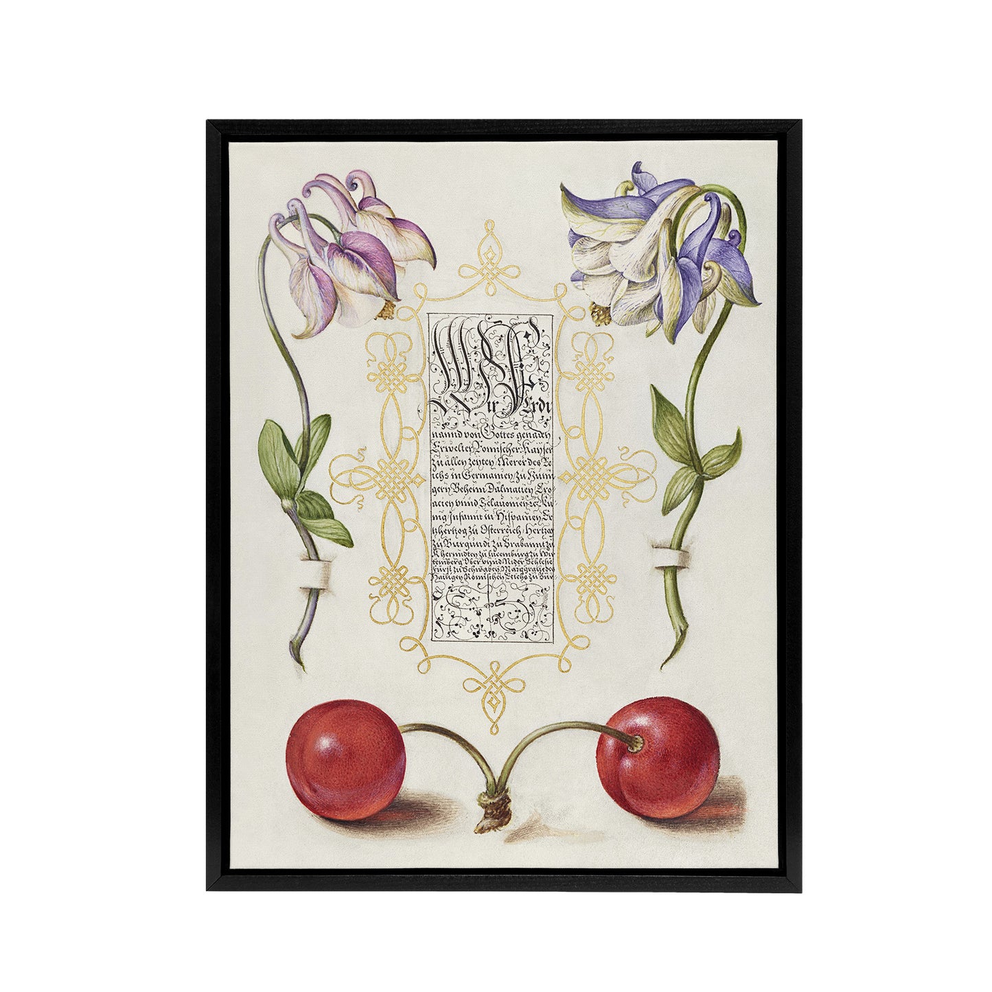 Columbines and Sweet Cherries Calligraphy Framed Canvas Wall Art Print