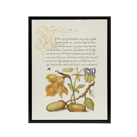 Daffodil Flower and Oak Acorns Calligraphy Framed Canvas Wall Art Print
