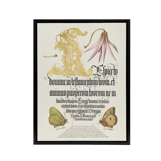 Dog Tooth Violet and Butterflies Calligraphy Framed Canvas Wall Art Print