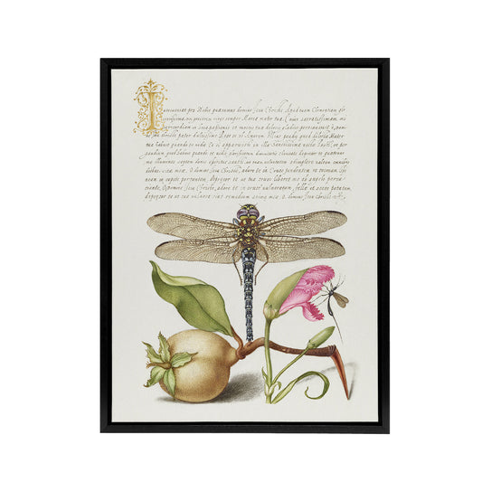 Dragonfly Pear and Carnation Calligraphy Framed Canvas Wall Art Print