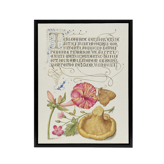 Flowers Mushroom and Butterfly Calligraphy Framed Canvas Wall Art Print