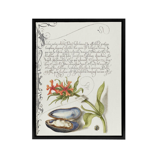 Flower Mussel and Ladybird Calligraphy Framed Canvas Wall Art Print