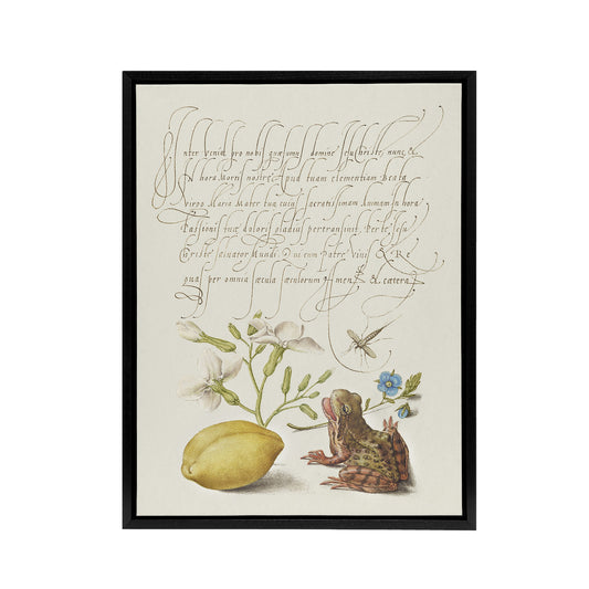 Gillyflower Almond and Frog Calligraphy Framed Canvas Wall Art Print