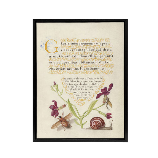 Gillyflower Fly Mayfly and Snail Calligraphy Framed Canvas Wall Art Print