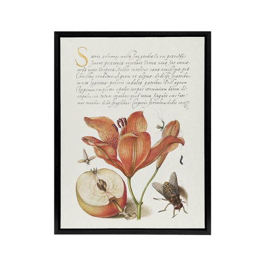 Insects Orange Lily and Apple Calligraphy Framed Canvas Wall Art Print
