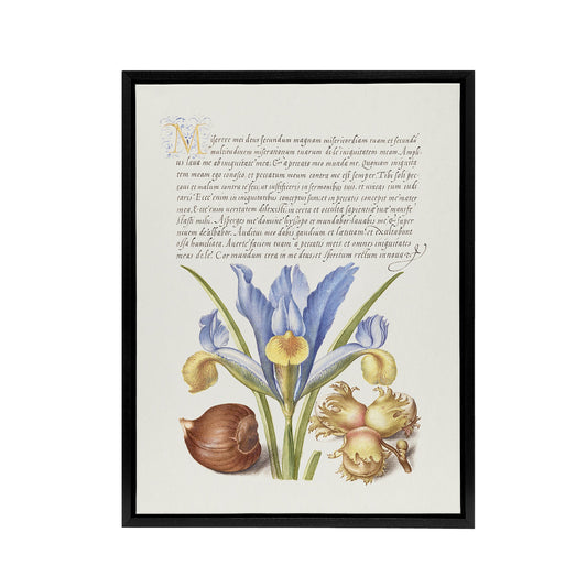 Iris Flower and Hazelnut Calligraphy Framed Canvas Wall Art Print