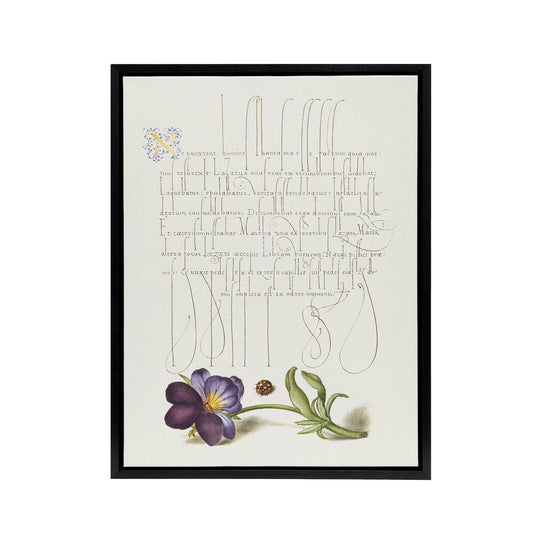 Ladybird and Wild Pansy Calligraphy Framed Canvas Wall Art Print