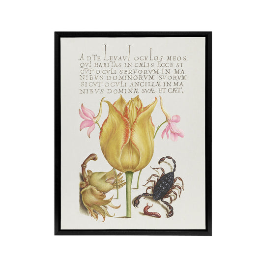 Larkspurs Tulip and Scorpion Calligraphy Framed Canvas Wall Art Print