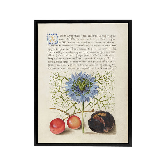 Love in a Mist and Cherries Calligraphy Framed Canvas Wall Art Print
